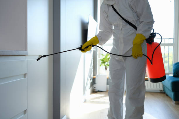 Professional Mold Inspection, Removal & Remediation in Mount Vernon, NY